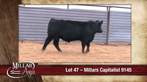 Lot #47 - MILLARS CAPITALIST 9145