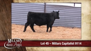Lot #45 - MILLARS CAPITALIST 9114