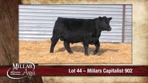 Lot #44 - MILLARS CAPITALIST 902