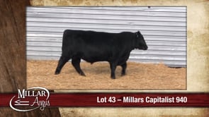 Lot #43 - MILLARS CAPITALIST 940