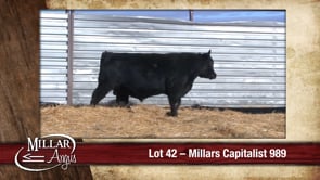 Lot #42 - MILLARS CAPITALIST 989