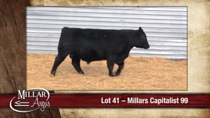 Lot #41 - MILLARS CAPITALIST 99