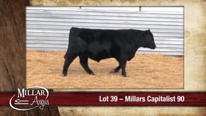 Lot #39 - MILLARS CAPITALIST 90