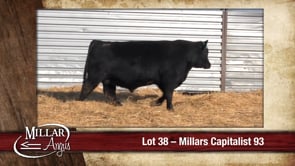 Lot #38 - MILLARS CAPITALIST 93