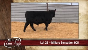 Lot #32 - MILLARS SENSATION 905