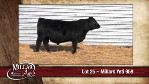 Lot #25 - MILLARS YETI 959