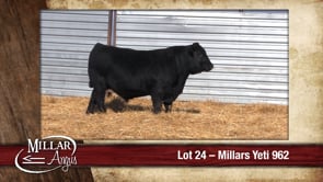 Lot #24 - MILLARS YETI 962