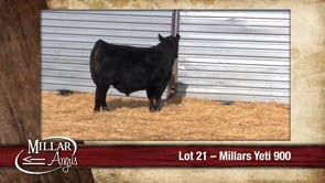 Lot #21 - MILLARS YETI 900