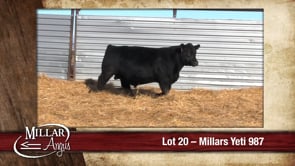 Lot #20 - MILLARS YETI 987