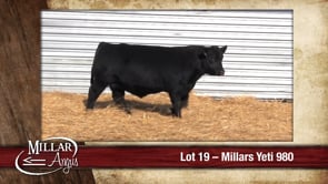 Lot #19 - MILLARS YETI 980