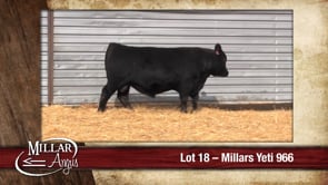 Lot #18 - MILLARS YETI 966