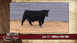 Lot #17 - MILLARS YETI 982