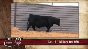 Lot #16 - MILLARS YETI 986