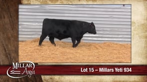 Lot #15 - MILLARS YETI 934