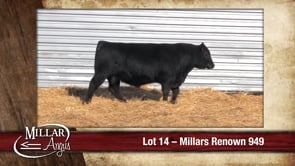 Lot #14 - MILLARS RENOWN 949