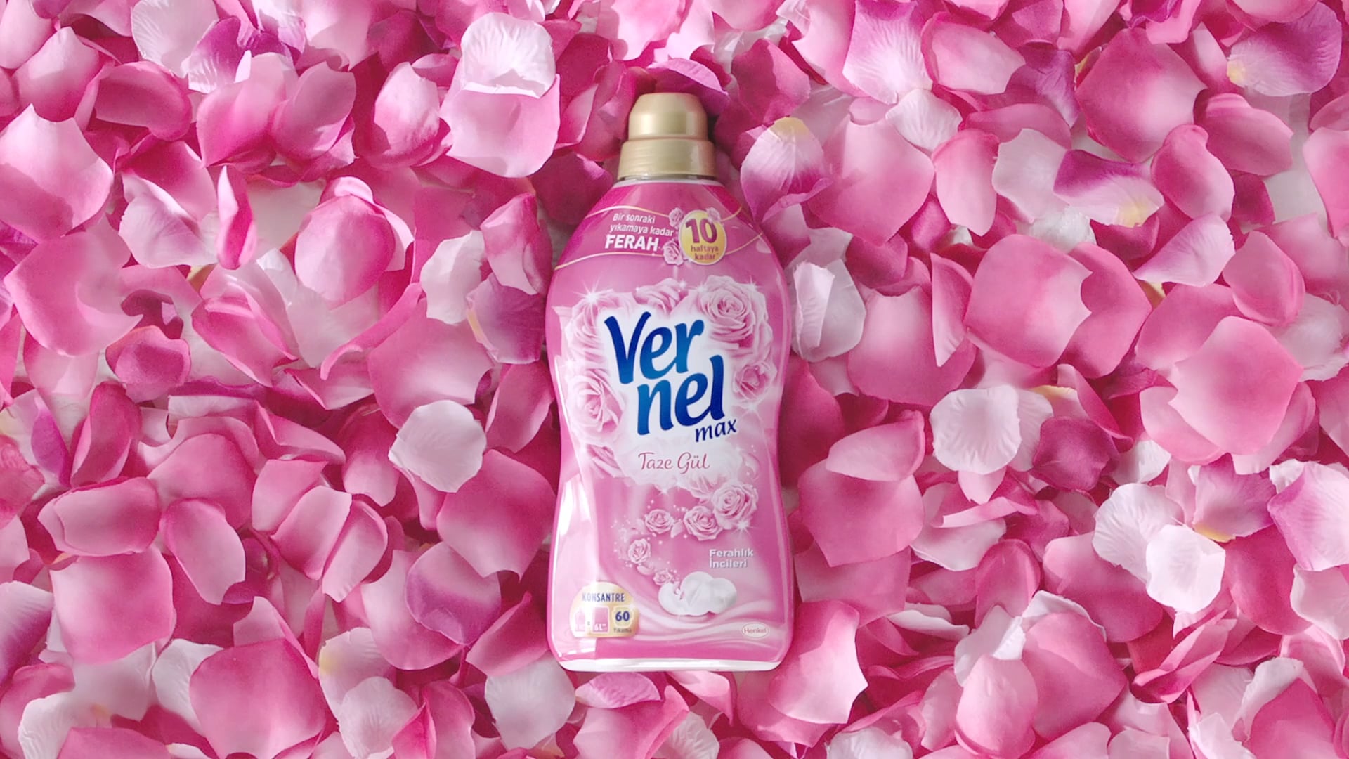 Devrin Usta-VernelMax_DC_BEST