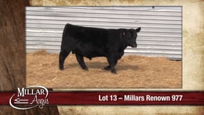 Lot #13 - MILLARS RENOWN 977