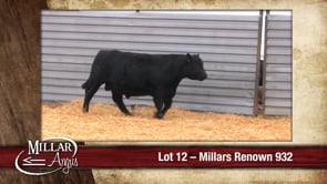 Lot #12 - MILLARS RENOWN 932