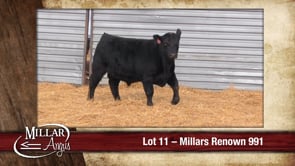 Lot #11 - MILLARS RENOWN 991