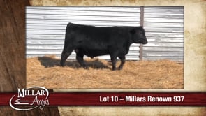 Lot #10 - MILLARS RENOWN 937