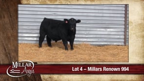 Lot #4 - MILLARS RENOWN 994