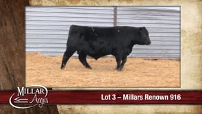 Lot #3 - MILLARS RENOWN 916