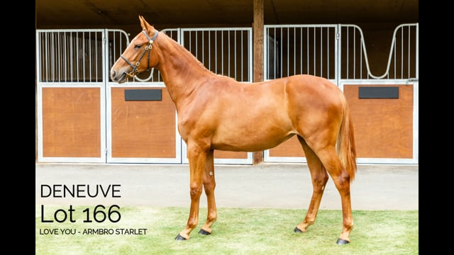 Lot 166
