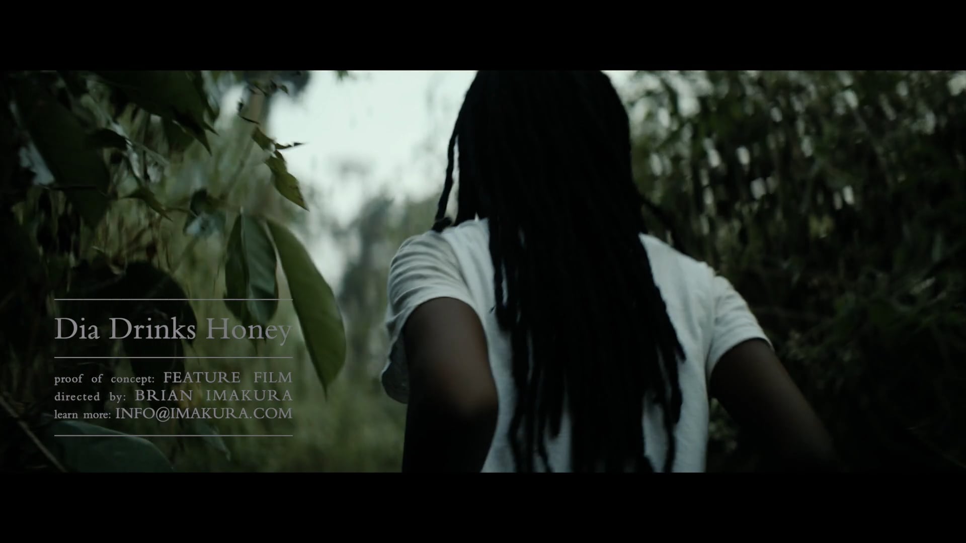 Dia Drinks Honey: Proof of Concept