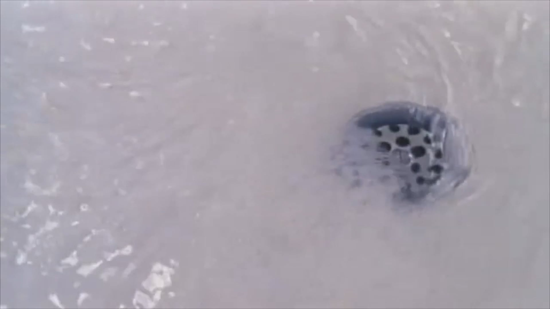 WAKE UP, FREDDY - Wastewater