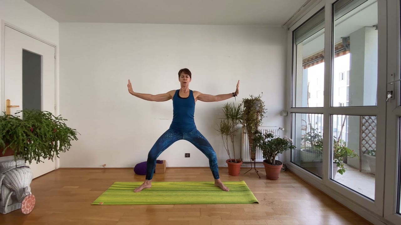13. Cours de Yoga - Mobiliser son énergie avec Sylvie Berardi (17min)