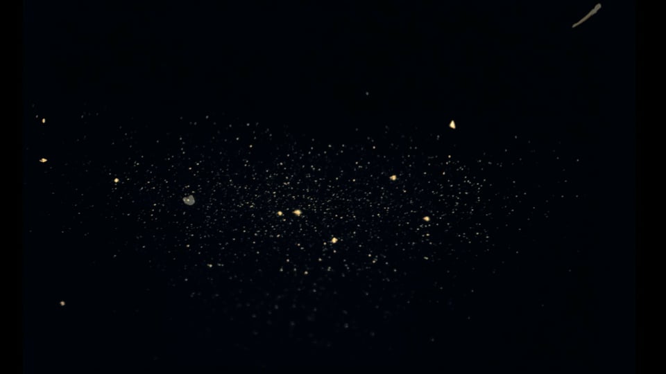 When We Are Nothing Left