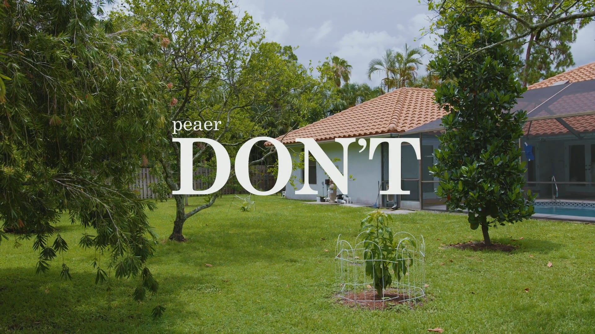 peaer - Don't