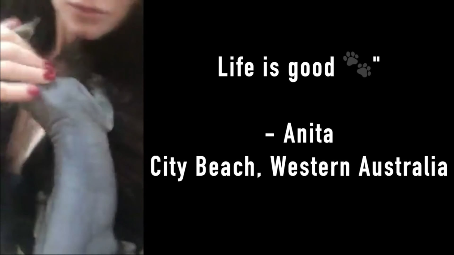 Coco's Buy Nothing Life