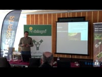 Alternativas forrajeras: Pasto Simbiasa