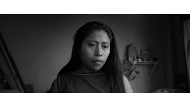 Criterion Collection