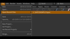 Houdini-Essential - 03 - BasesAvancees - 18 - HIP-HIPnc-HIP