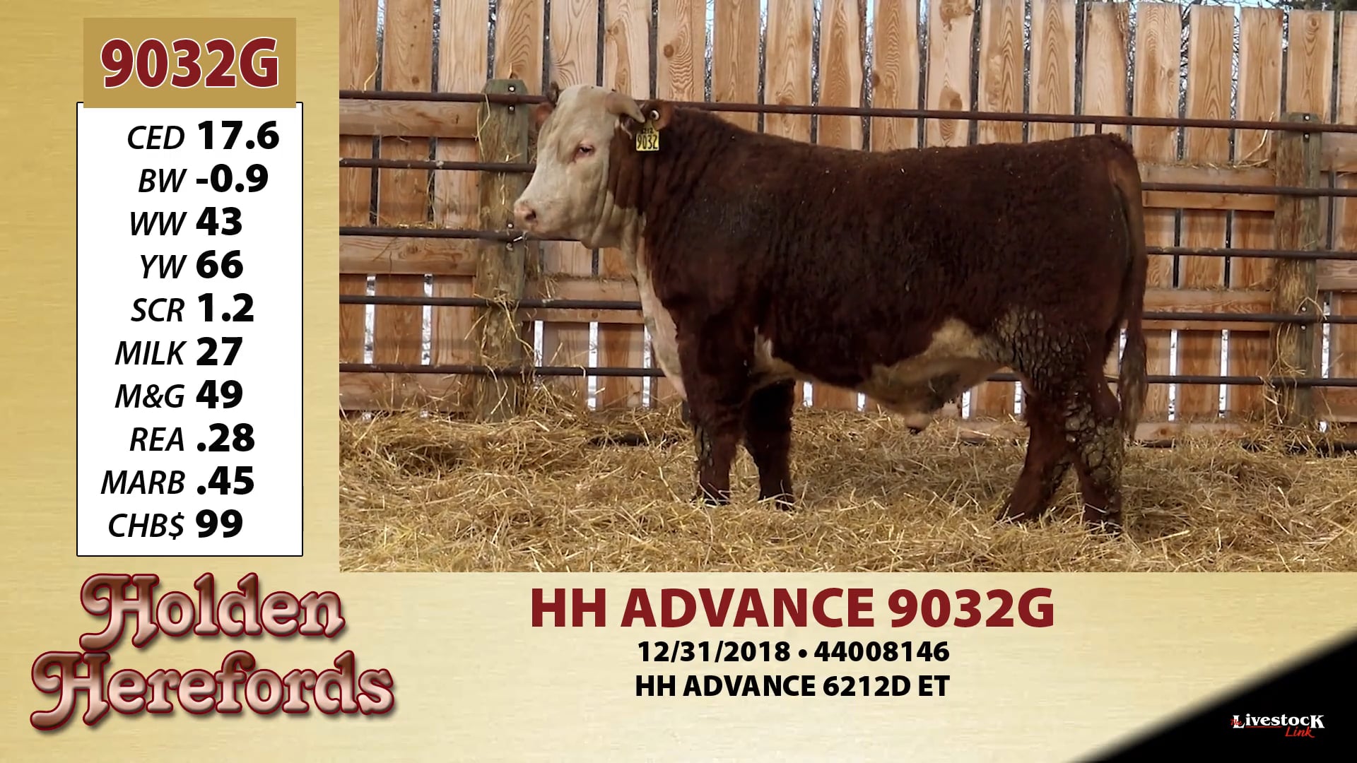 Holden Herefords Lot 9032 on Vimeo