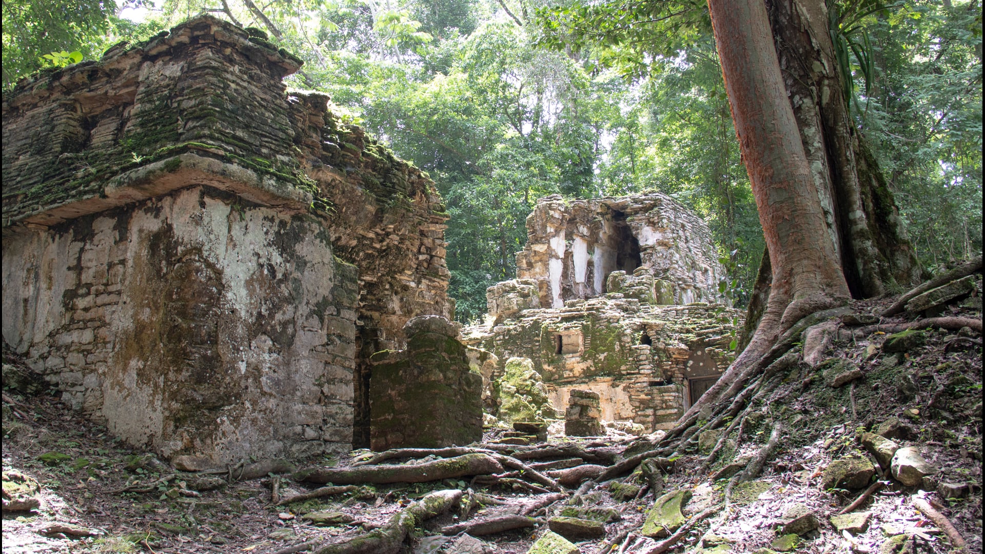 Selva Lacandona