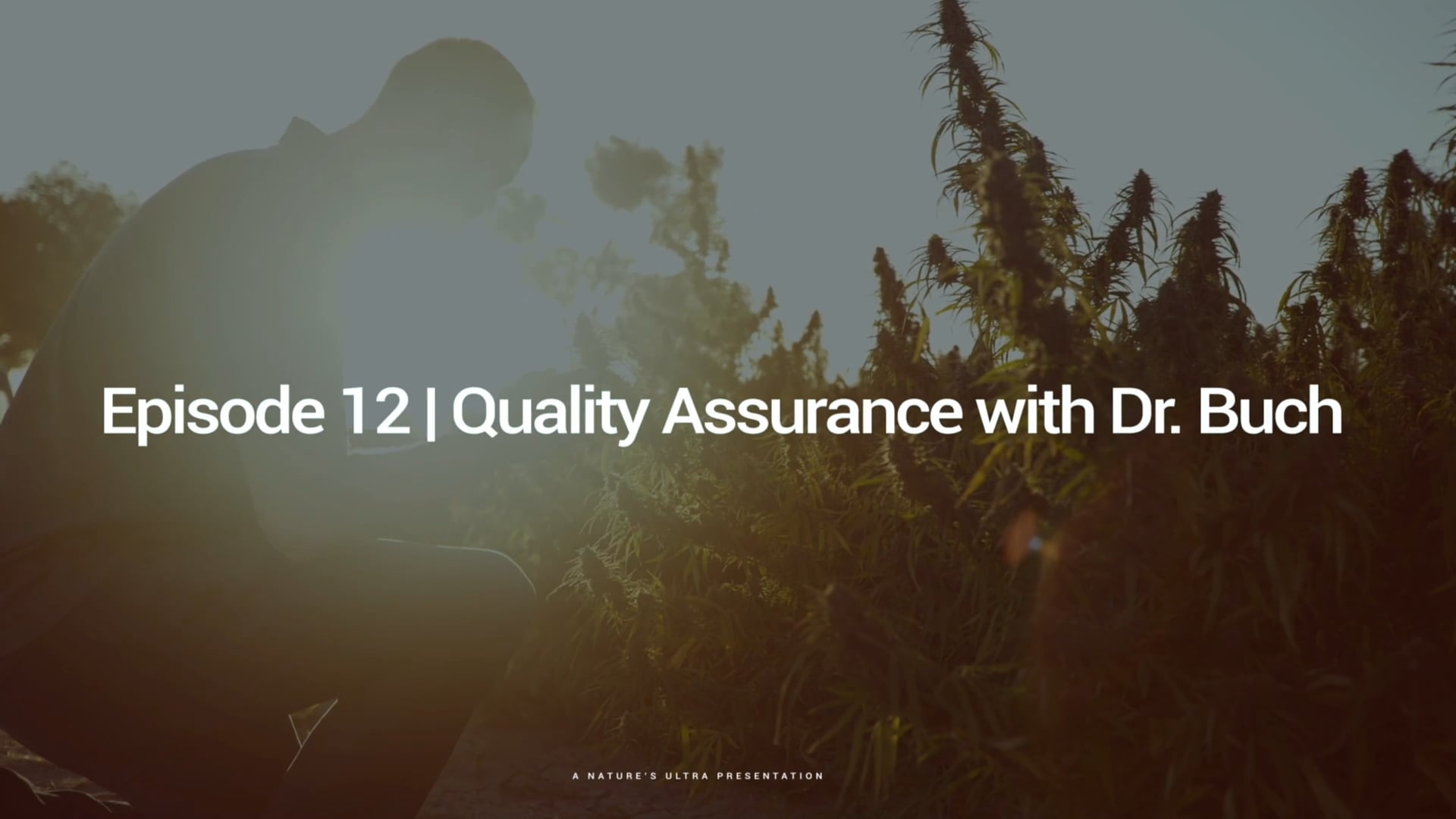 CBD 101 | Ep 12 | Quality Assurance with Dr. Buch