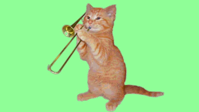 20+ Free Funny Cat & Cat Videos, HD & 4K Clips - Pixabay