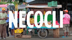 Coco Chocolatier - Customer Success Story