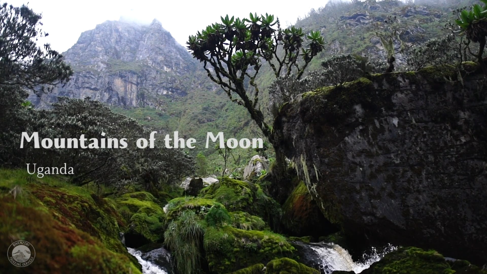 Rwenzori Mountains of the Moon Documentary