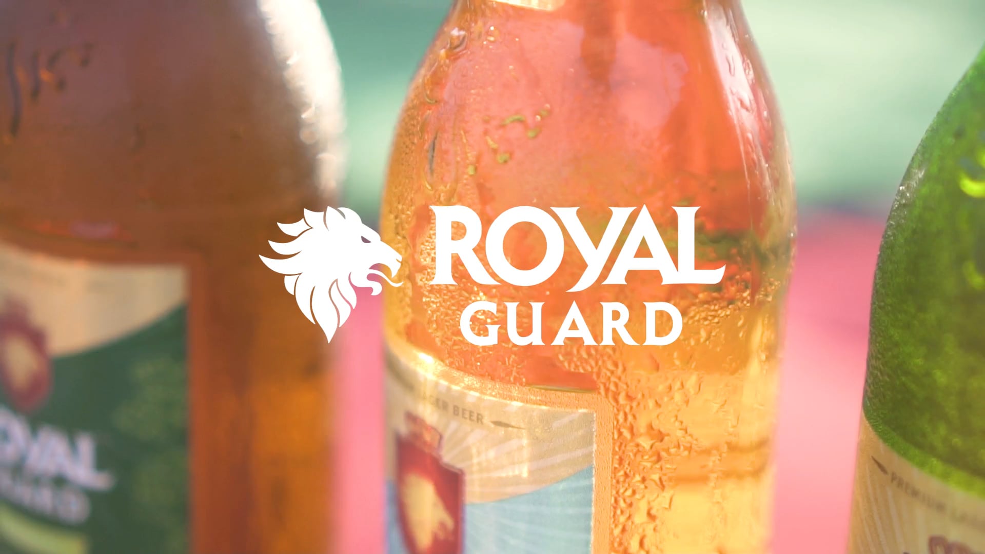 Royal Guard Maitencillo /  Febrero 2020