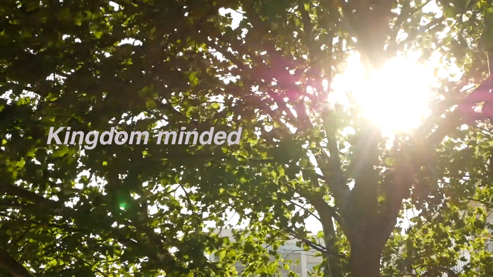 The Emerging Leaders Program