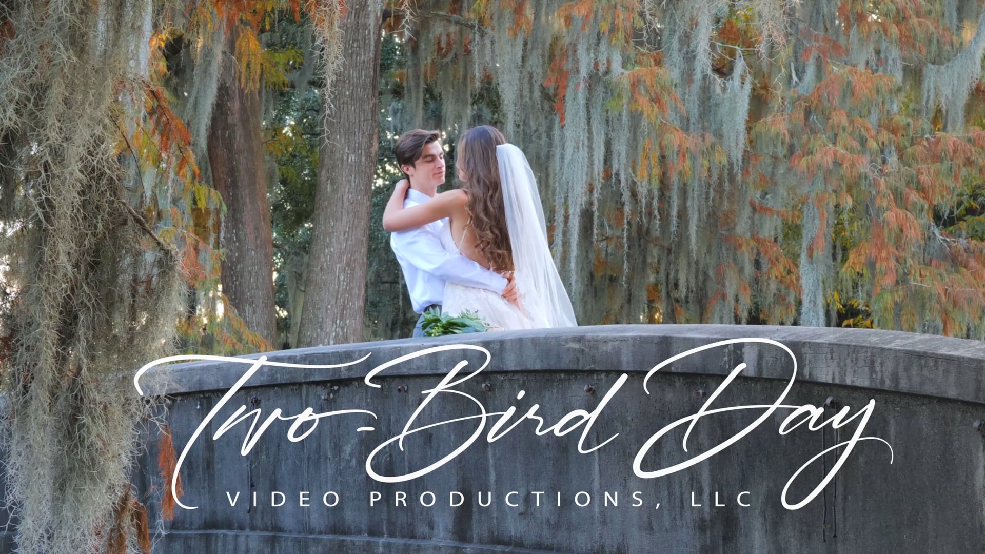 Two-Bird Day Video Productions, LLC