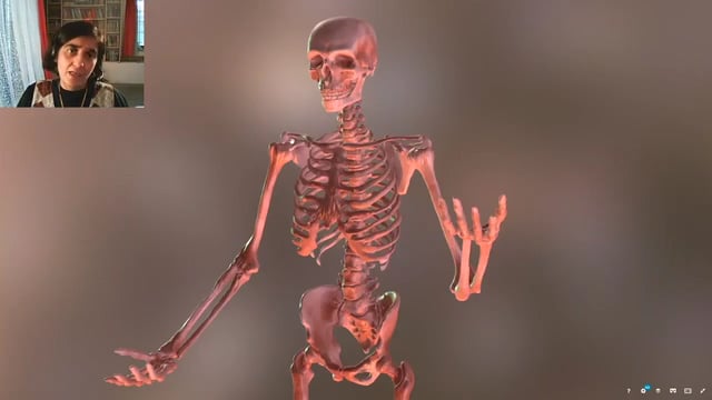 Skeletal System - Joints in our Body