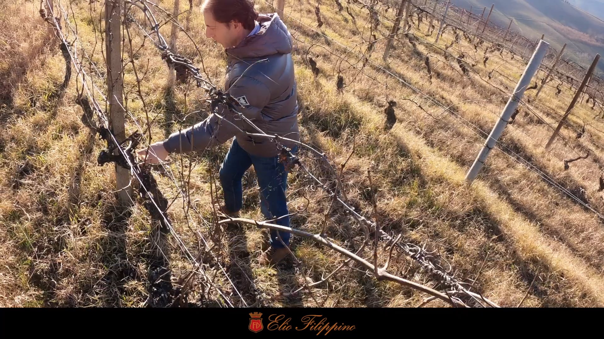 La potatura - The pruning