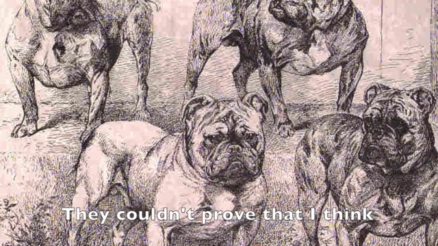 Darwin's dog hotsell