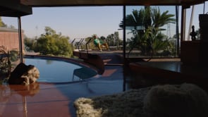 Related Embedded Video Item Thumbnail