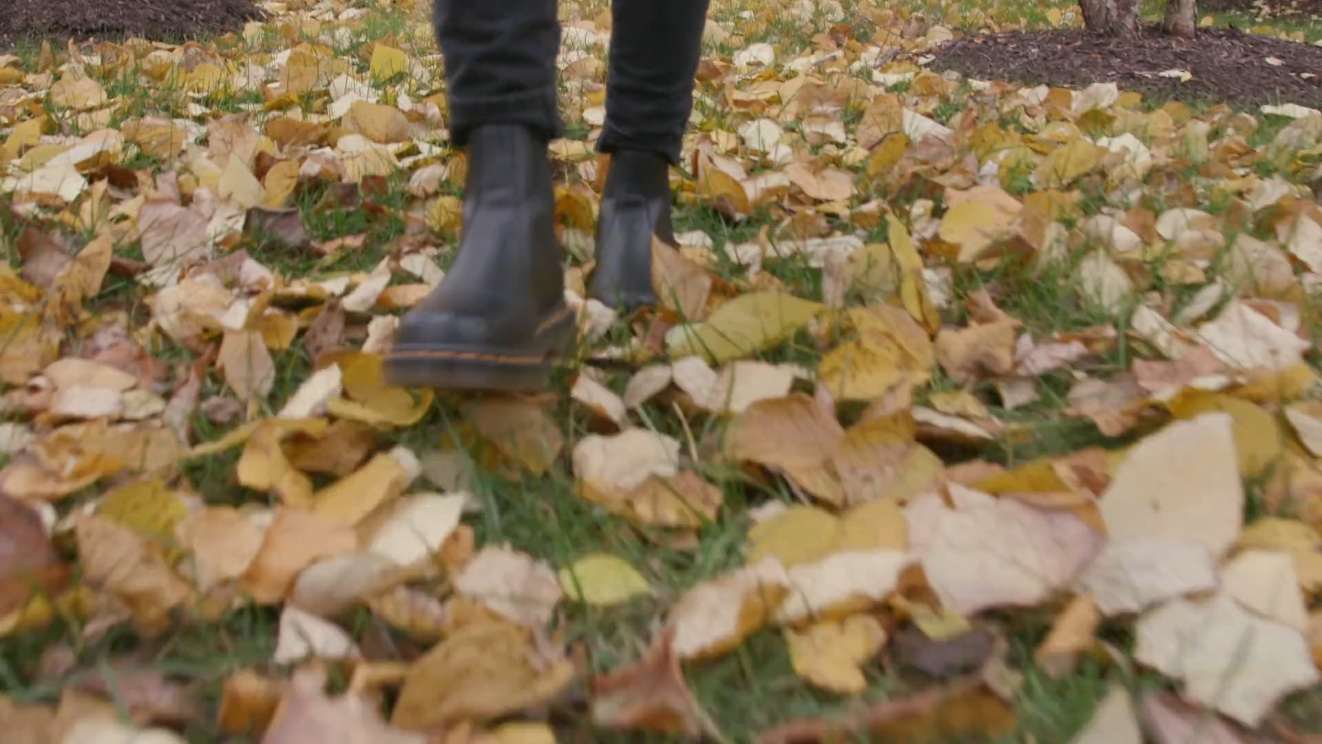 Morgan FINAL EDIT on Vimeo
